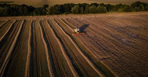 Russia snubs UN proposal to rejoin Black Sea grain deal